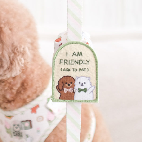 I AM FRIENDLY | ATTACHABLE PATCH