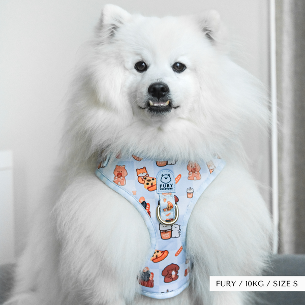 'FURY&FRIENDS IN NYC' HARNESS