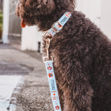 'FURY&FRIENDS IN NYC' LEASH