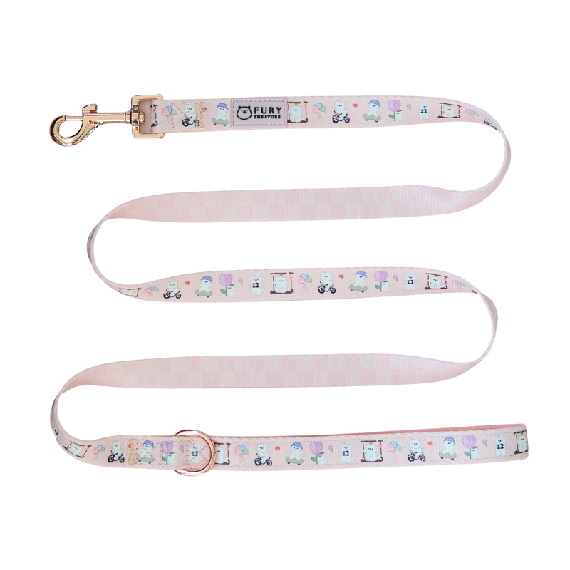 'SUMMIT IN PARIS' LEASH