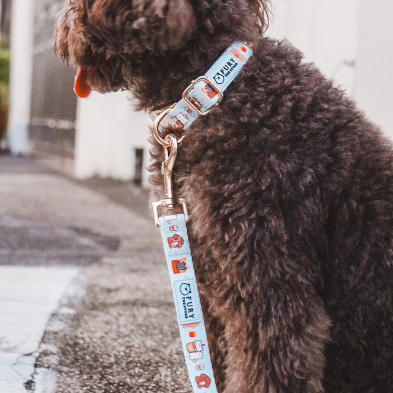 'FURY&FRIENDS IN NYC' COLLAR