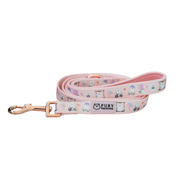 'SUMMIT IN PARIS' LEASH