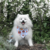 'FURY&FRIENDS IN NYC' REVERSIBLE BANDANA