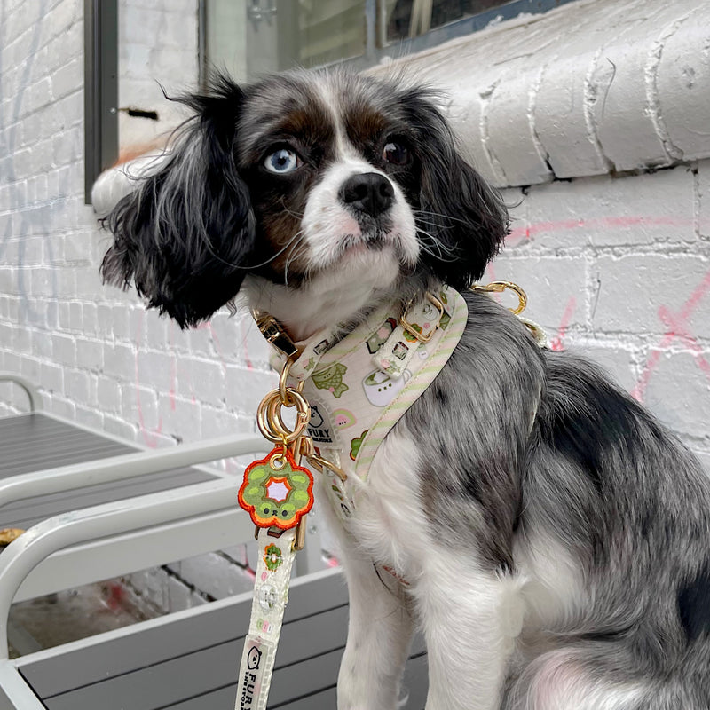 MOCHI DONUT CHARM TAG