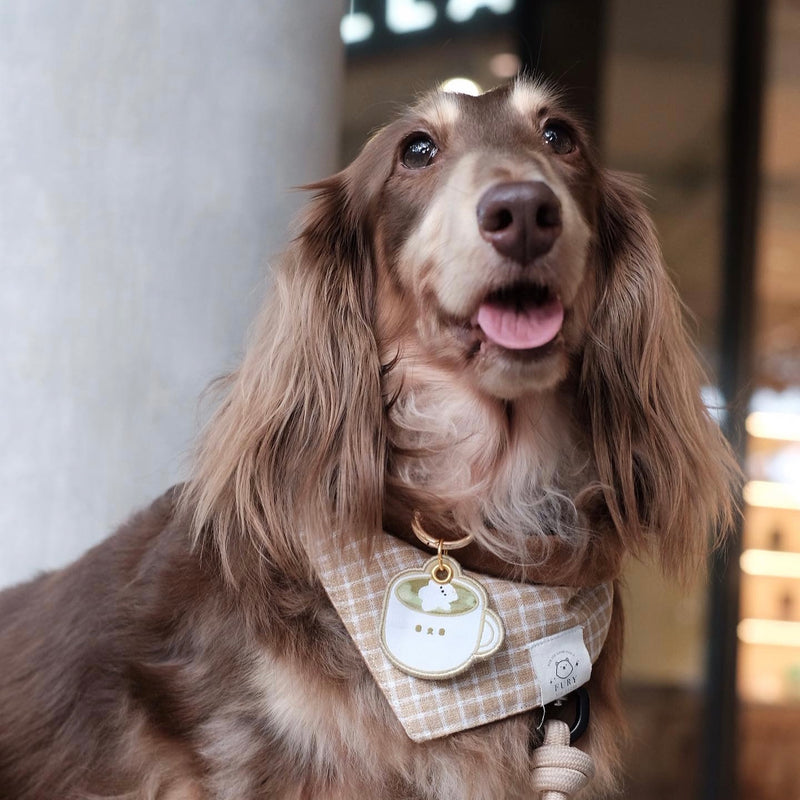 MATCHA LATTE CHARM TAG