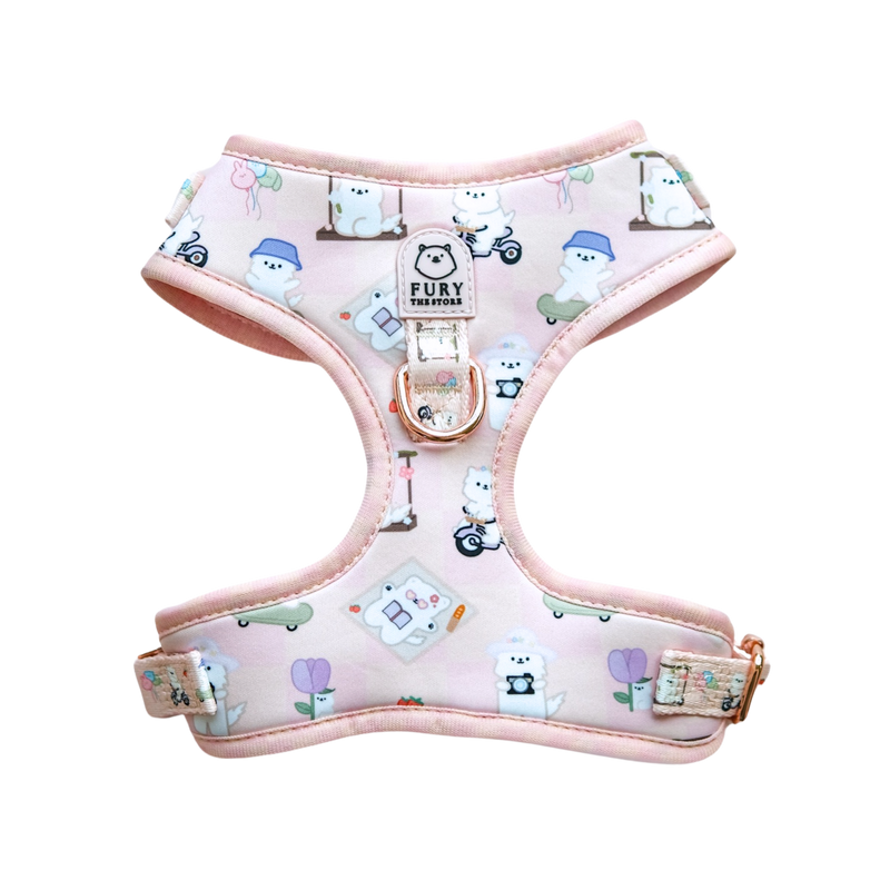 'SUMMIT IN PARIS' HARNESS