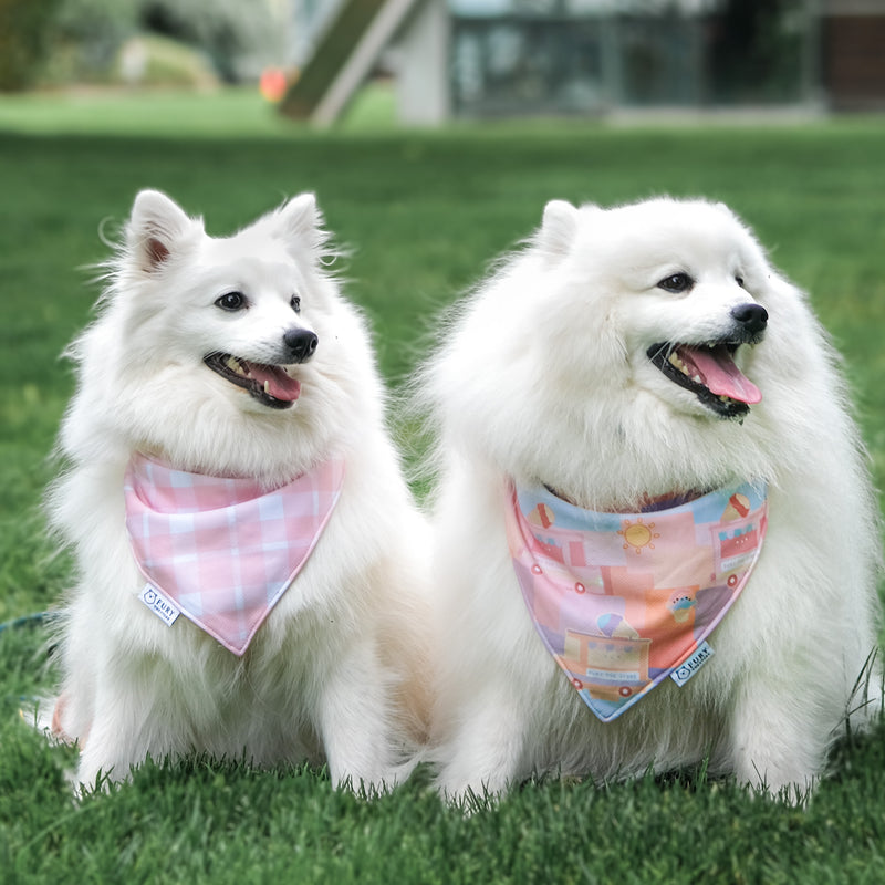 SUMMERTIME REVERSIBLE BANDANA